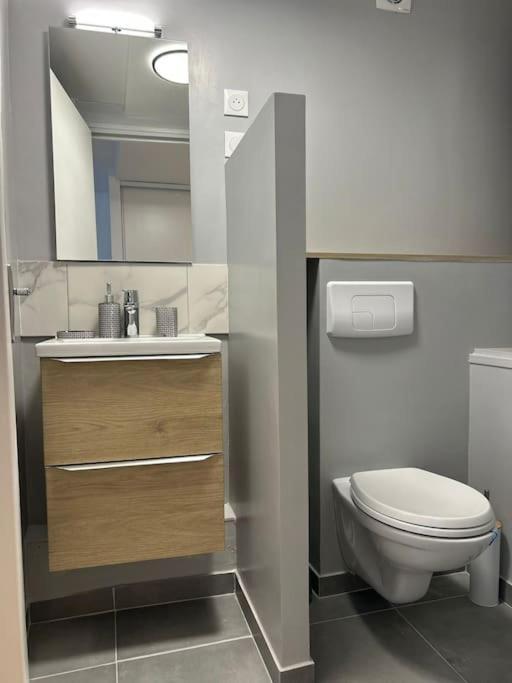 New Cosy House 15 Min Paris Roissy Cdg & 6 Min Parc Asterix I Villepinte Vemars エクステリア 写真